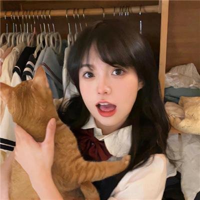 鸟类人间